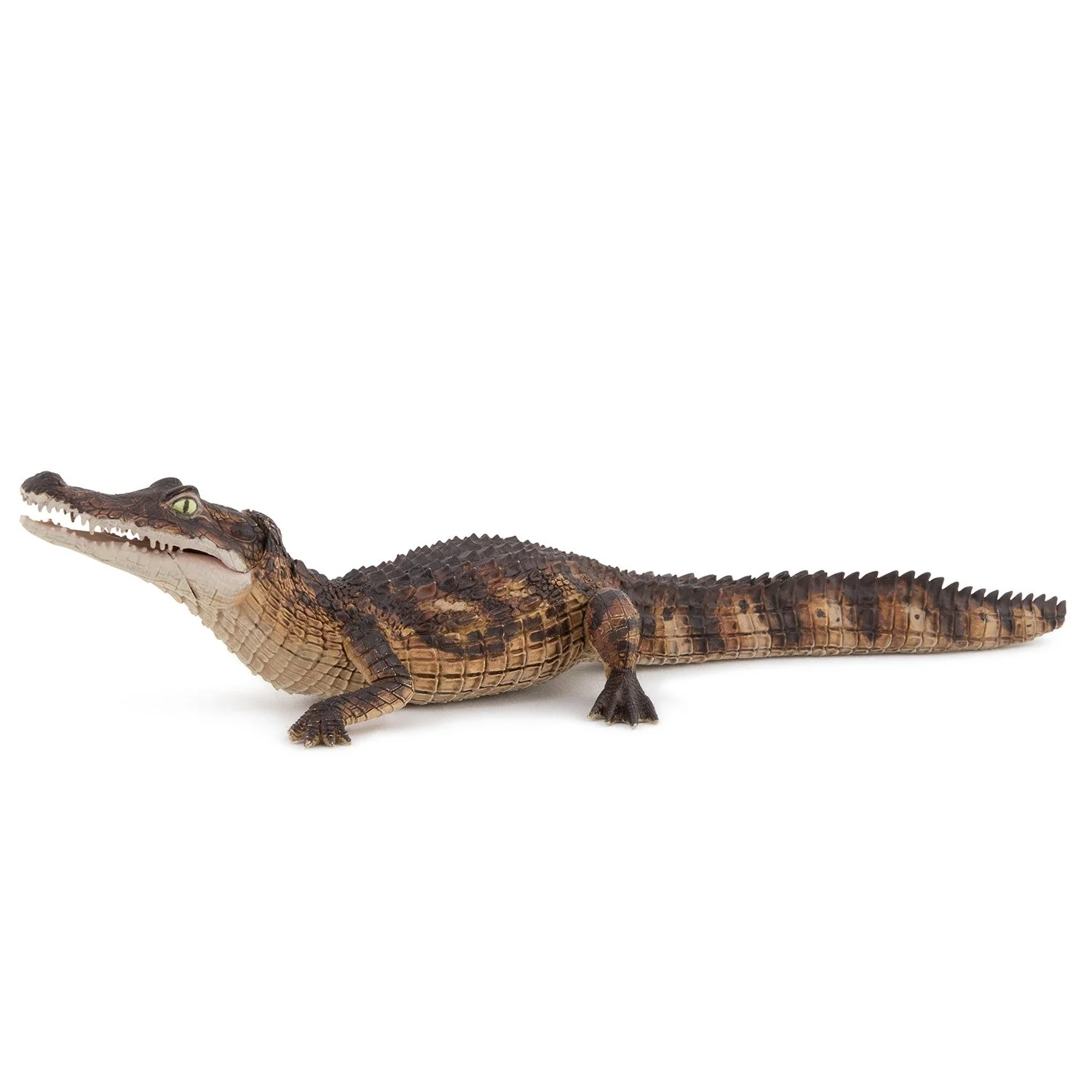 Miniature 1