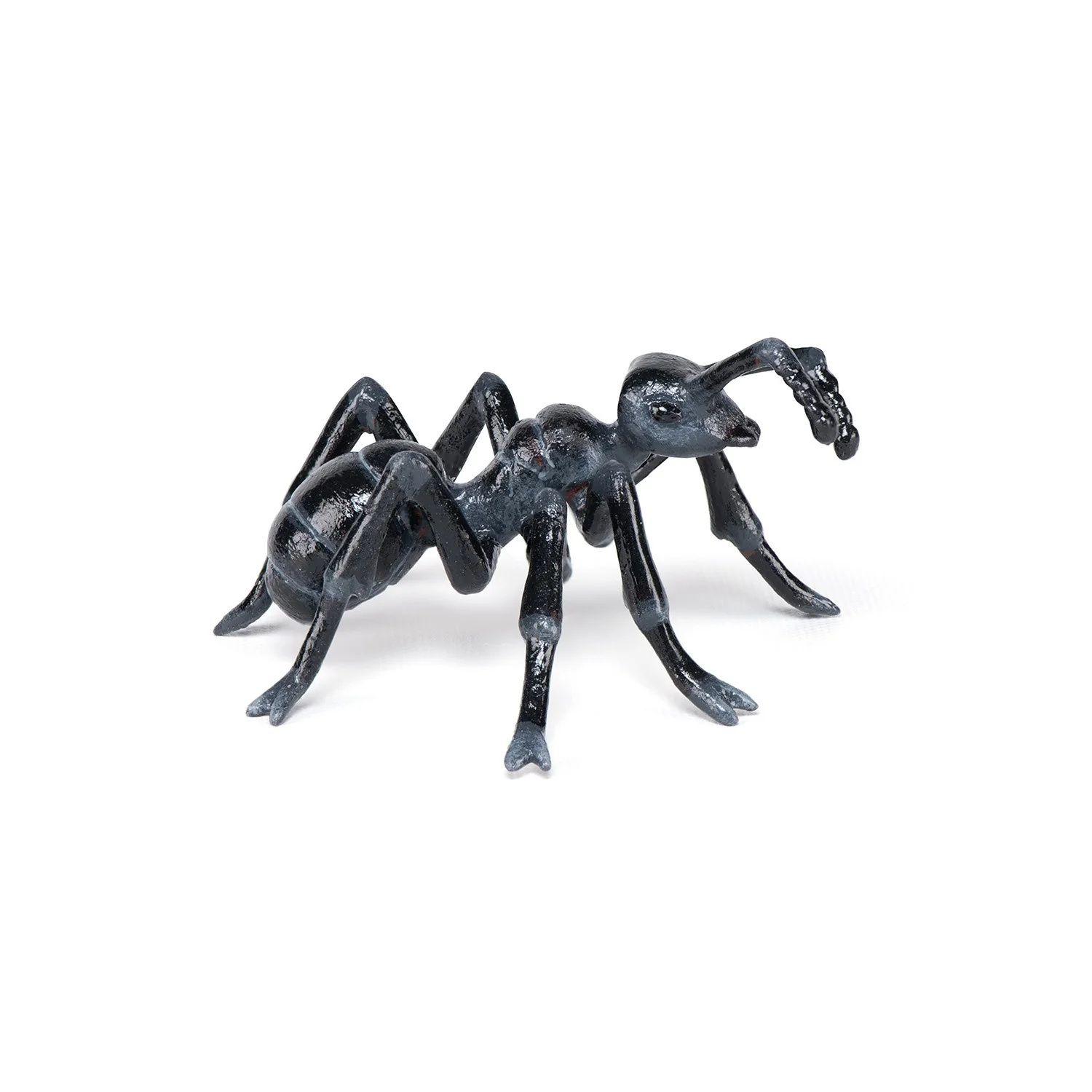 Miniature 1