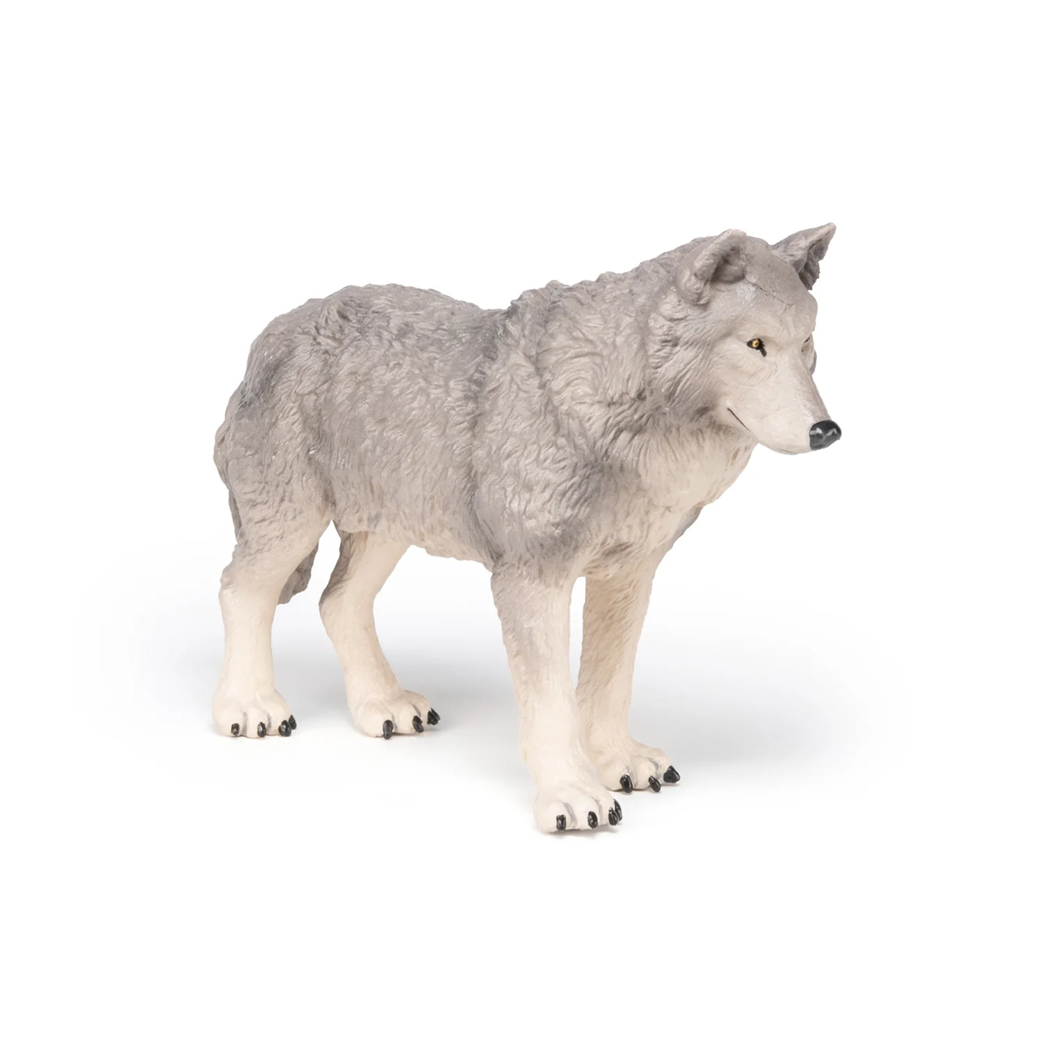 Miniature 1