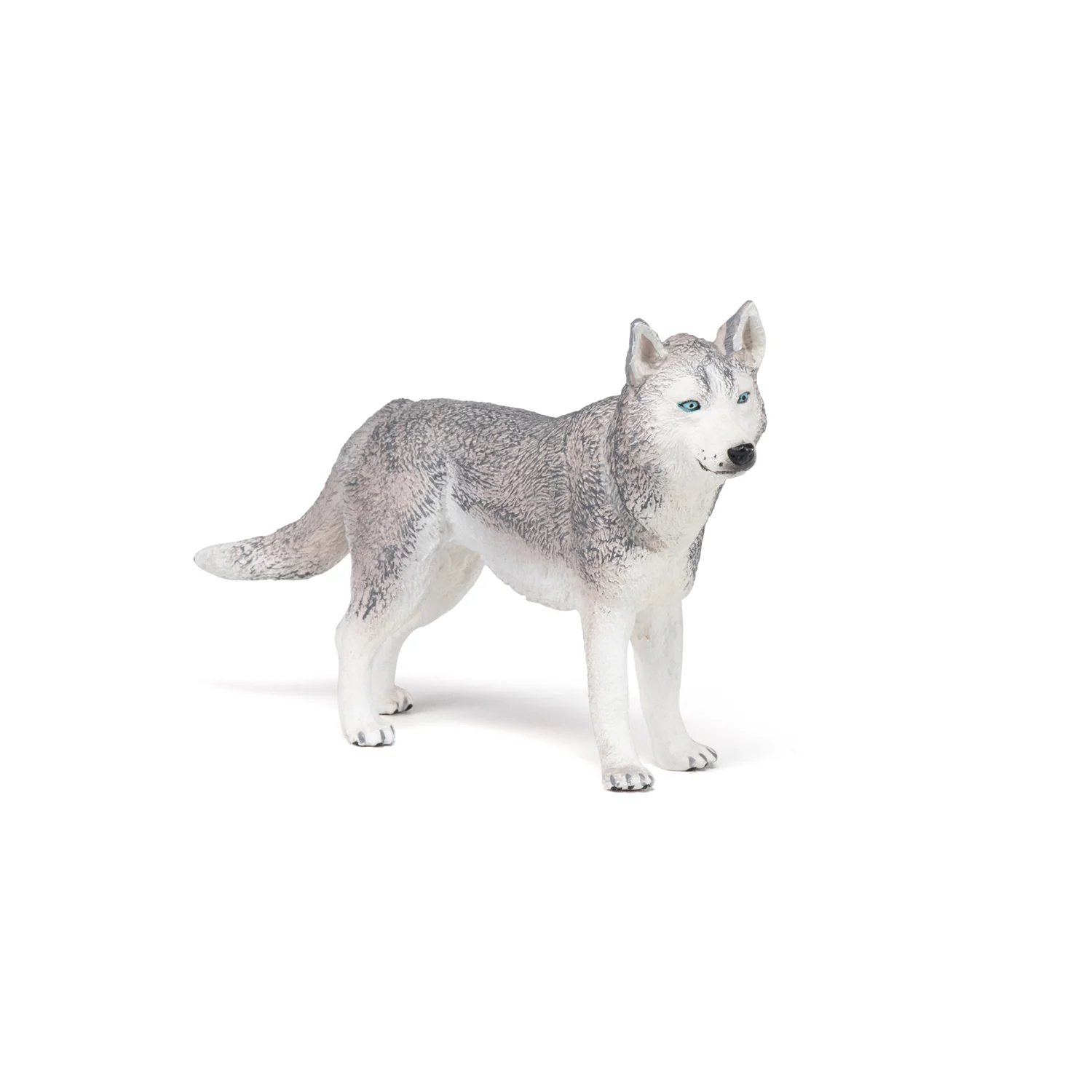 Miniature 1
