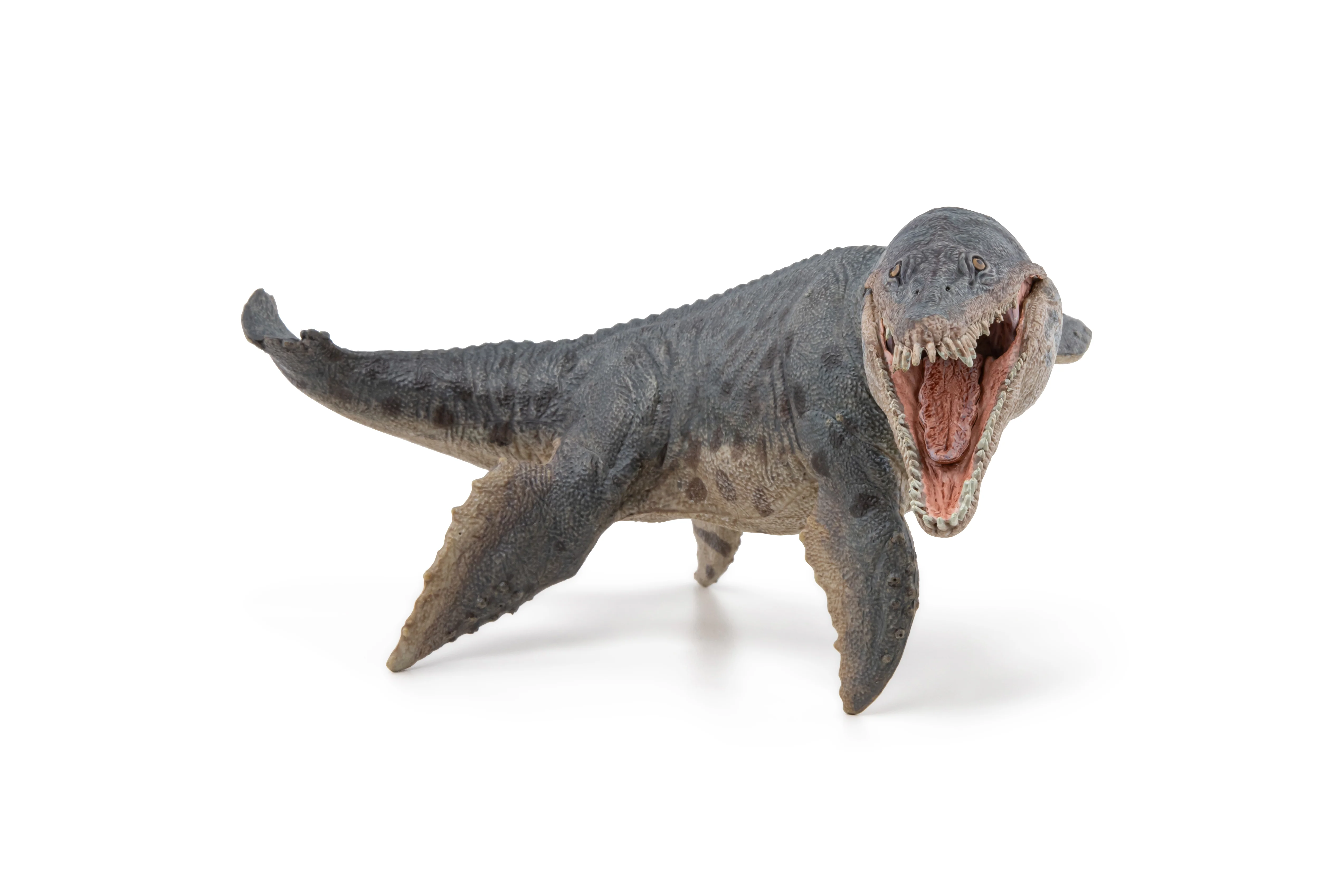 Miniature 2