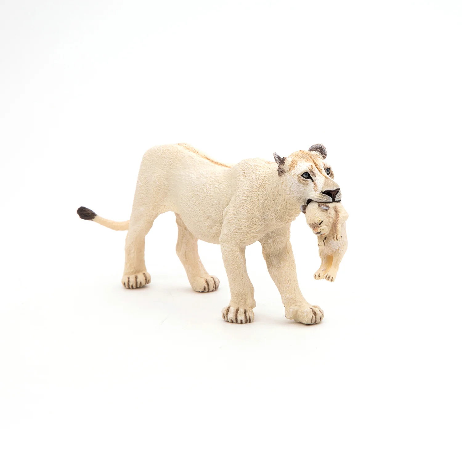 Miniature 1