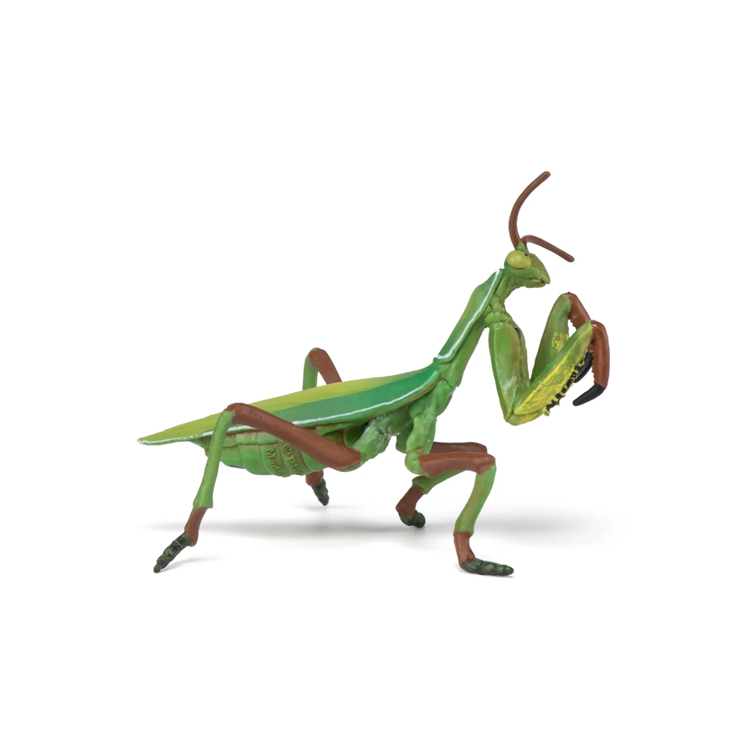 Image du produit 8