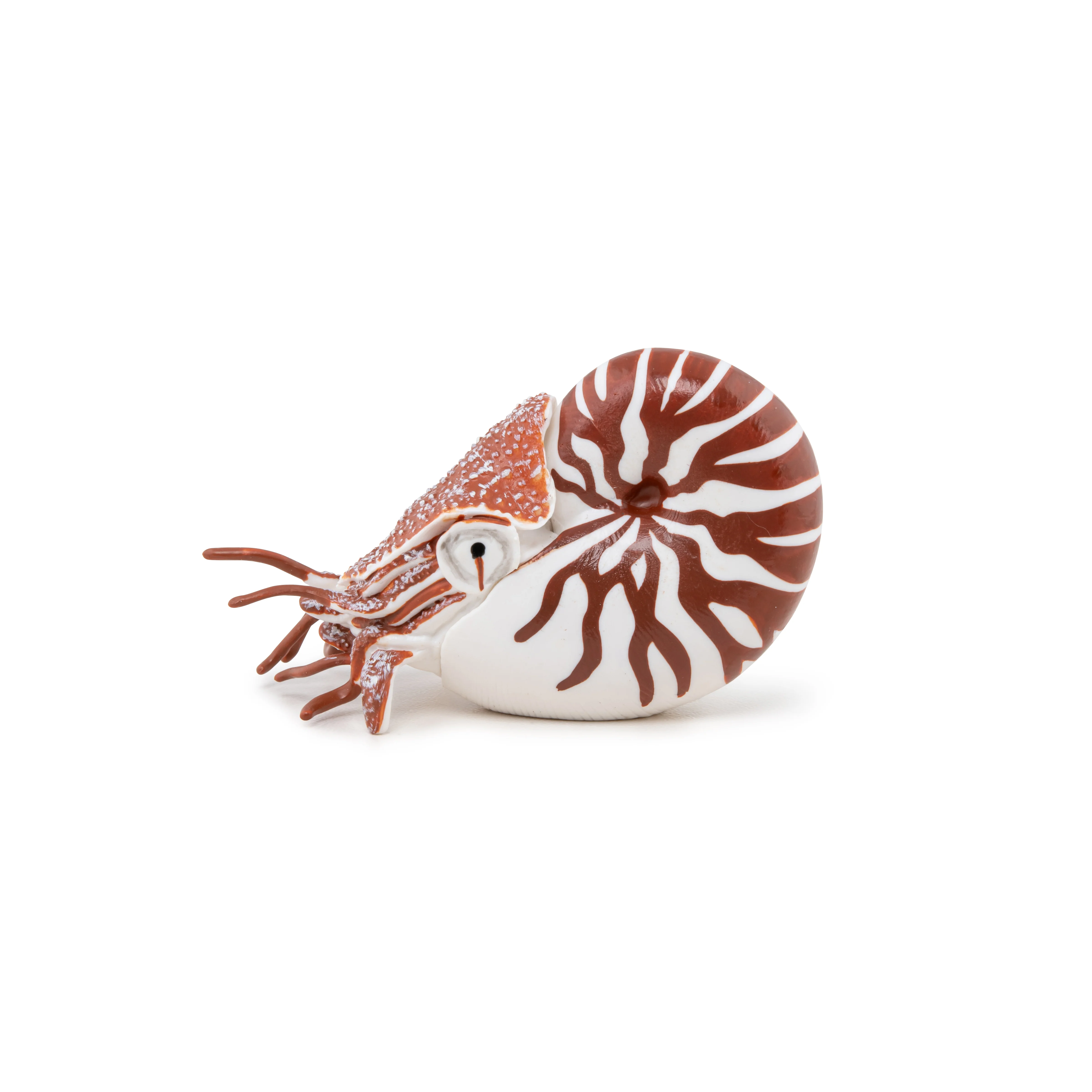 Miniature 2