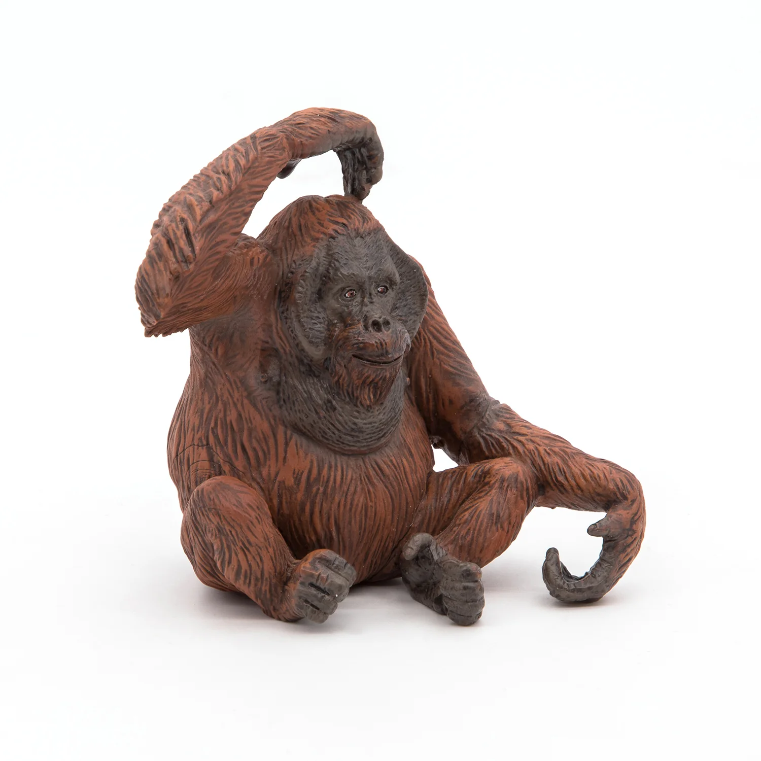 Image du produit 9